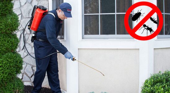 Altınözü Dezenfeksiyon böcek ilaçlama ve haşere kontrolü — ilaclama-tr.com